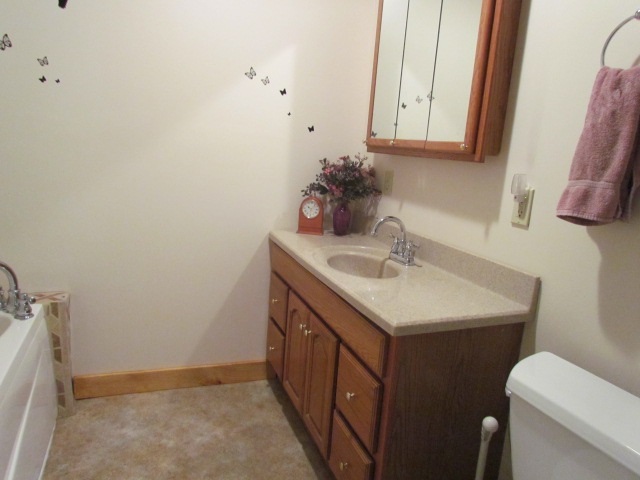 6851 Bay Gladwin Line Road Bentley, MI 48613 - Photo 22 of 25 1803862-21.JPG