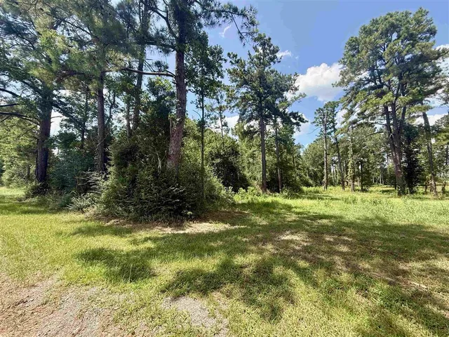 $280,000 | 0 Bob Hayes Road, Deridder, LA 70634