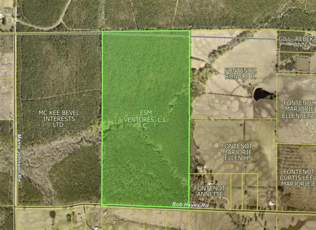 0 Bob Hayes Road Deridder, LA 70634 - Photo 11 of 11