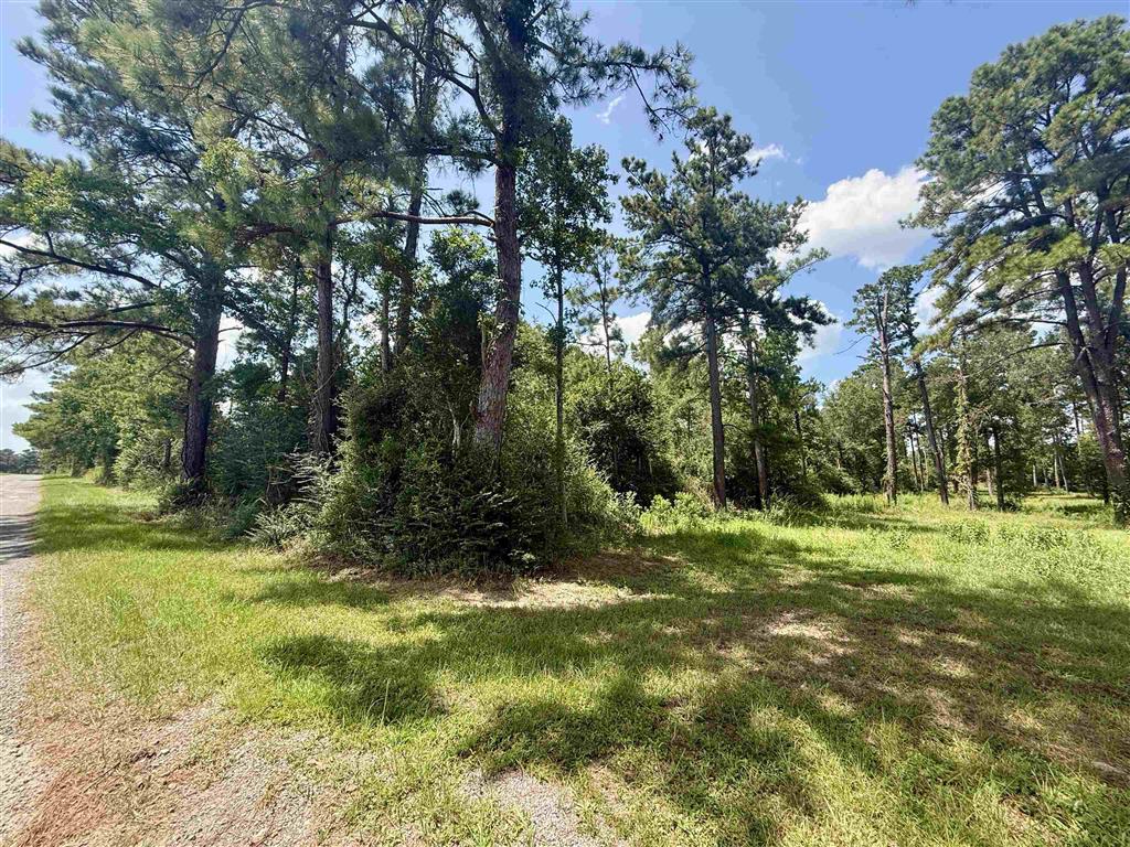 0 Bob Hayes Road Deridder, LA 70634 - Photo 2 of 11