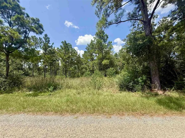 $249,000 | 0 Bob Hayes Road, Deridder, LA 70634