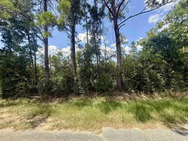 $249,000 | 0 Bob Hayes Road, Deridder, LA 70634