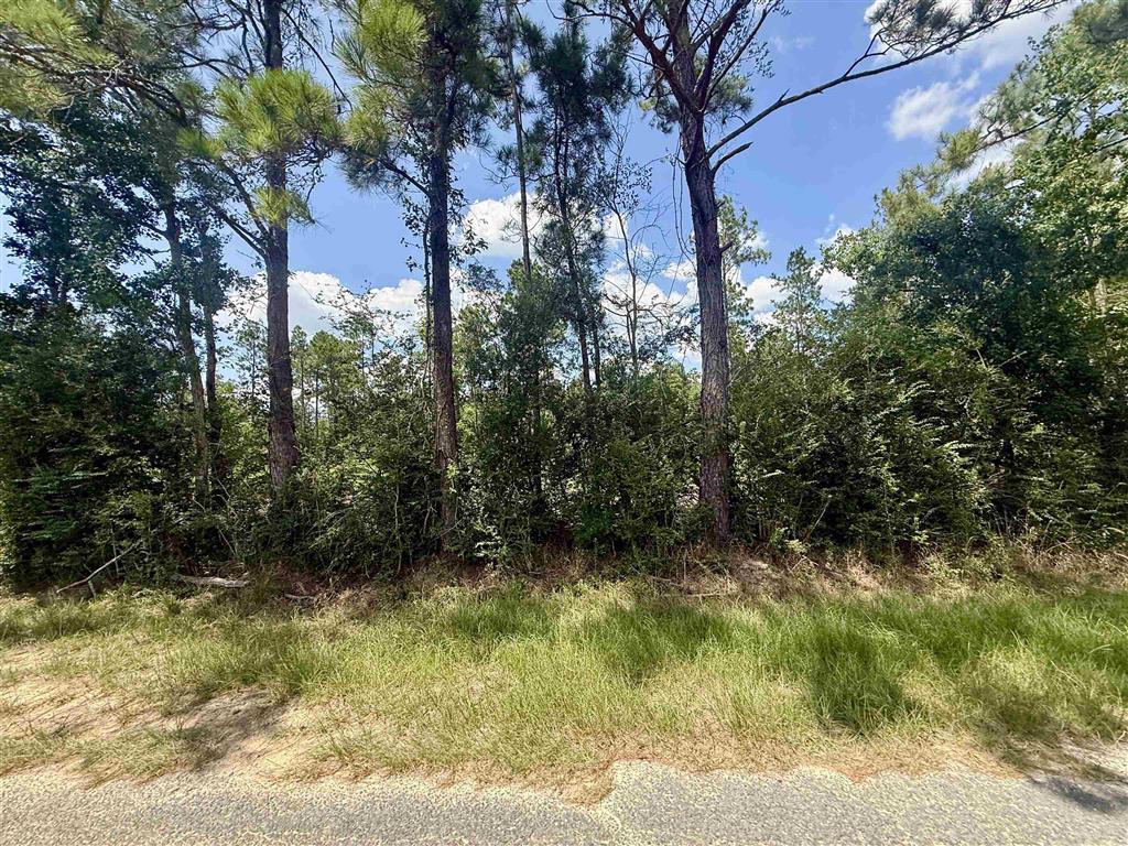 0 Bob Hayes Road Deridder, LA 70634 - Photo 5 of 11