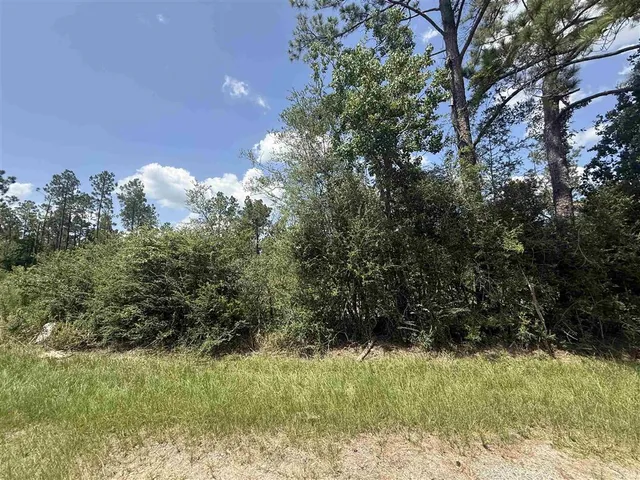 $280,000 | 0 Bob Hayes Road, Deridder, LA 70634