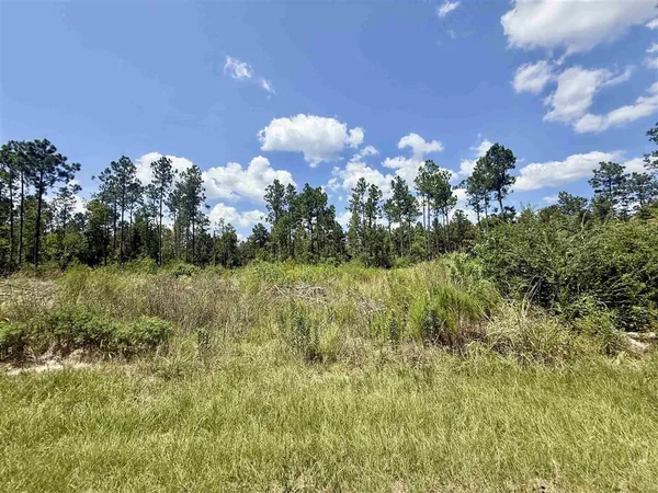 $249,000 | 0 Bob Hayes Road, Deridder, LA 70634