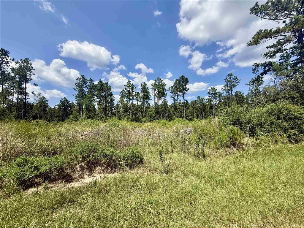 0 Bob Hayes Road Deridder, LA 70634 - Photo 8 of 11