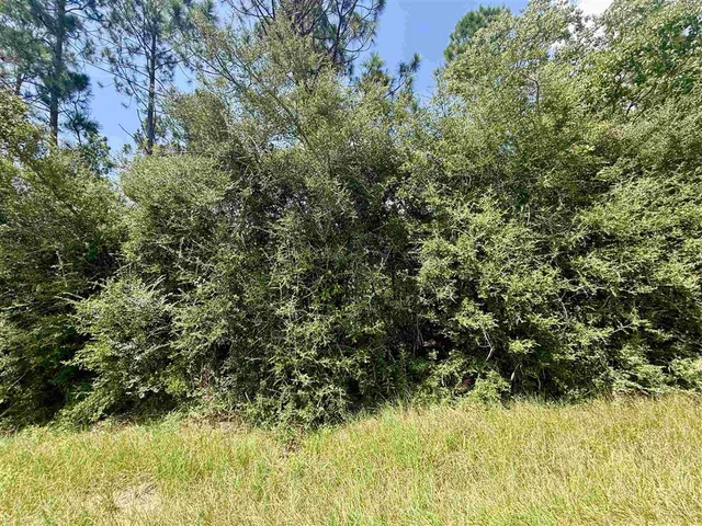 $280,000 | 0 Bob Hayes Road, Deridder, LA 70634