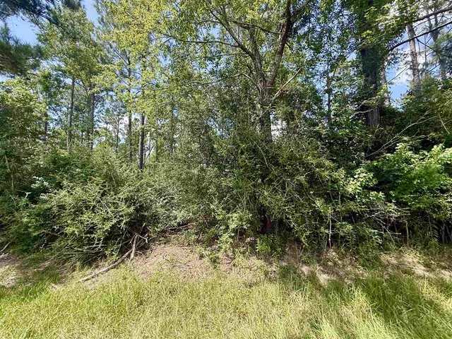 $280,000 | 0 Bob Hayes Road, Deridder, LA 70634