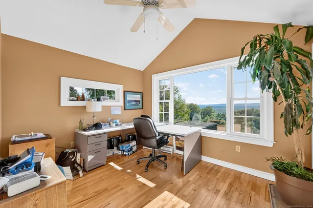 a living room with furniture a potted plant and a table