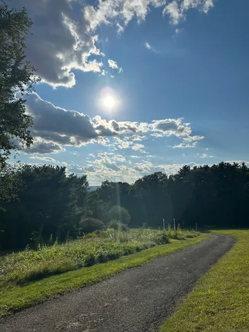 a view of a lake with a mountain