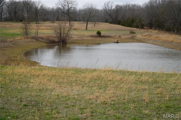 $225,000 | 18143 Oasis Drive, Phillipsburg, MO 65722