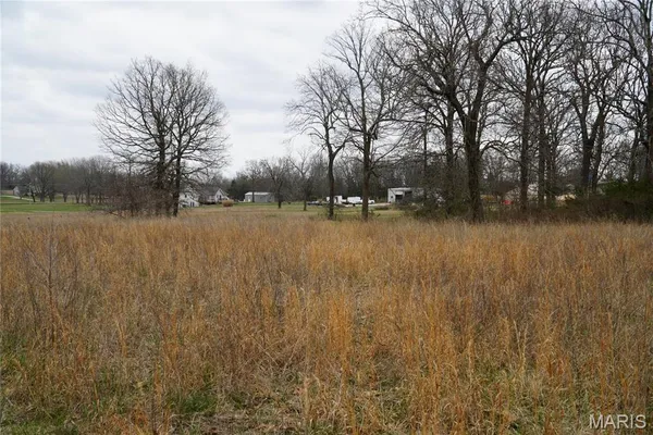$225,000 | 18143 Oasis Drive, Phillipsburg, MO 65722