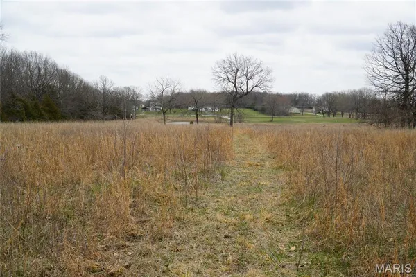 $225,000 | 18143 Oasis Drive, Phillipsburg, MO 65722