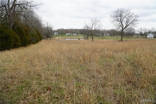 $225,000 | 18143 Oasis Drive, Phillipsburg, MO 65722