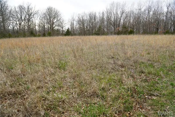 $225,000 | 18143 Oasis Drive, Phillipsburg, MO 65722