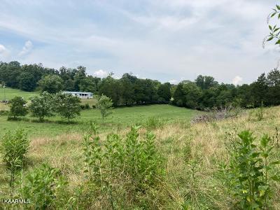 Sparks Landing Road Maynardville, TN 37807 - Photo 3 of 8 thumbnail (2)