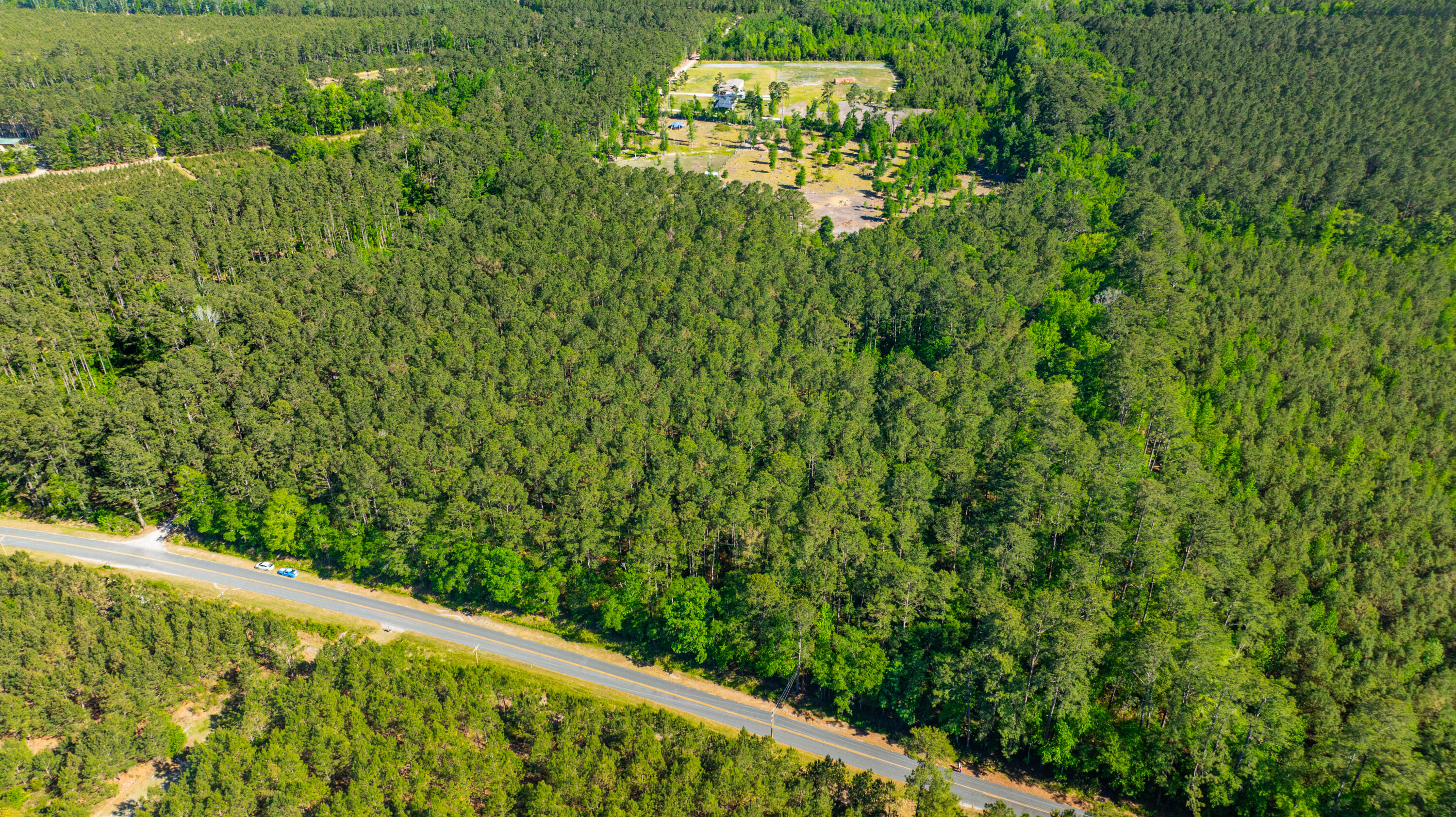 0 Crews Cemetary Road Varnville, SC 29944 - Photo 8 of 17 DJI_0562