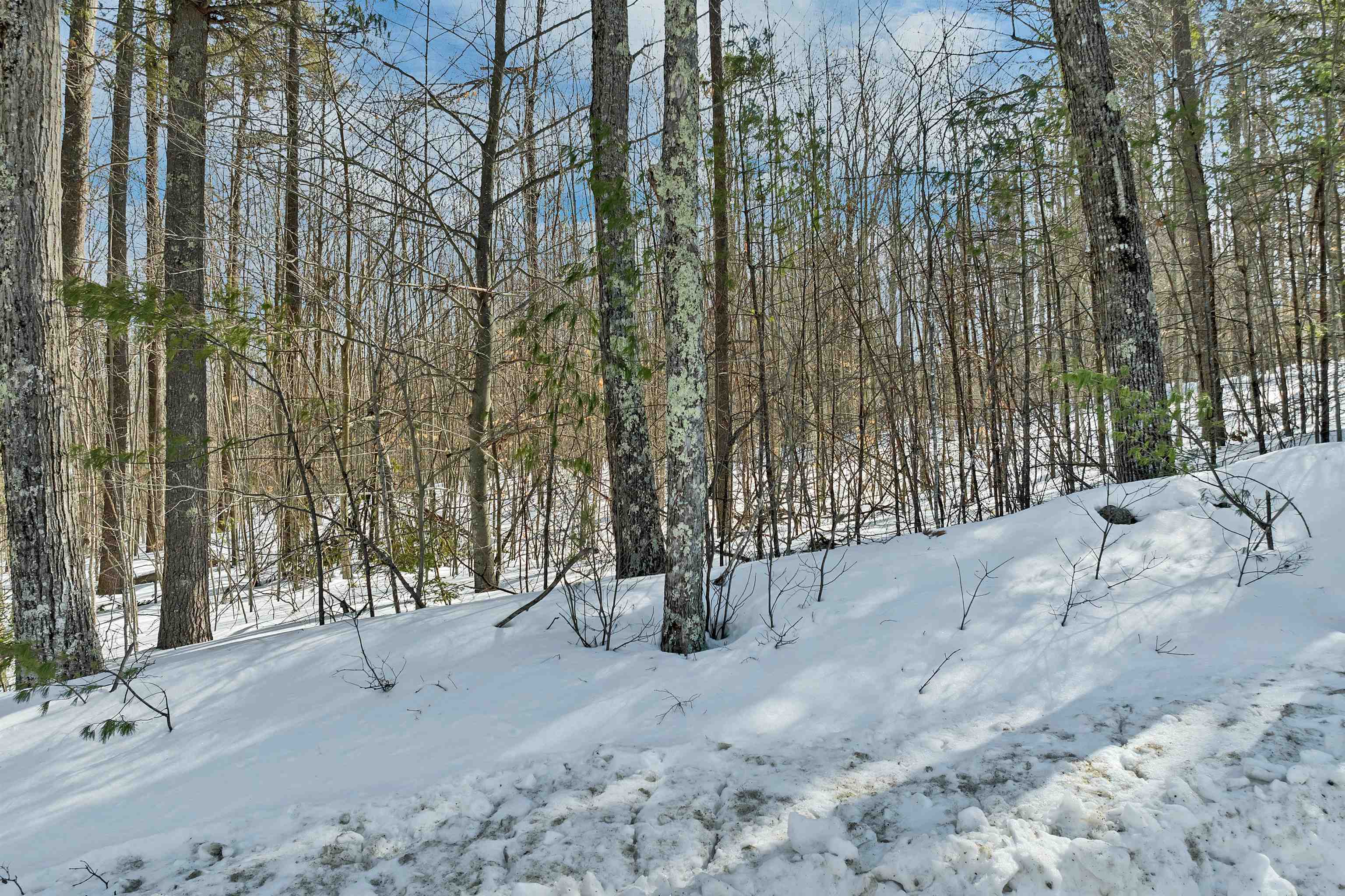 Lot 5 Phineas Graves Road Center Tuftonboro, NH 03816 - Photo 9 of 16