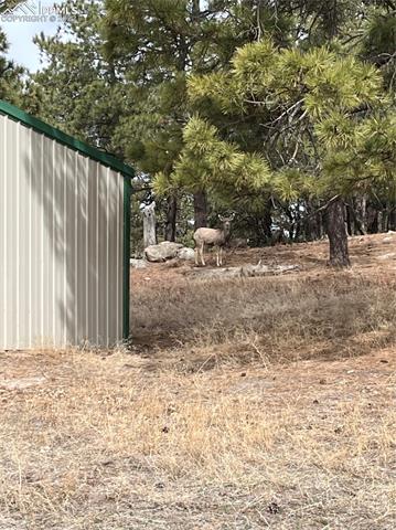 15720 Hopper Road Peyton, CO 80831 - Photo 44 of 49