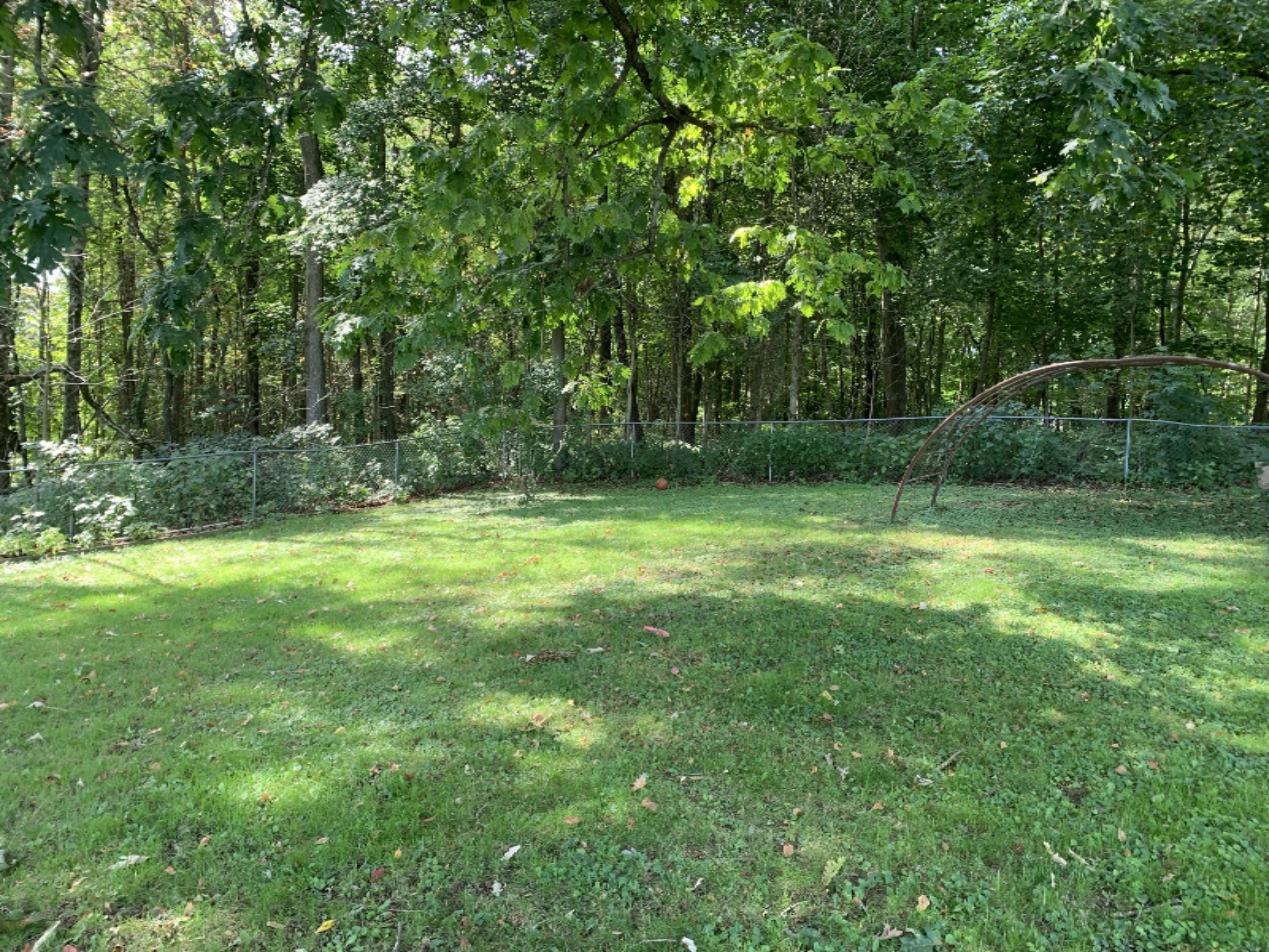 718 North Union City Road Coldwater, MI 49036 - Photo 23 of 26 Back Yard