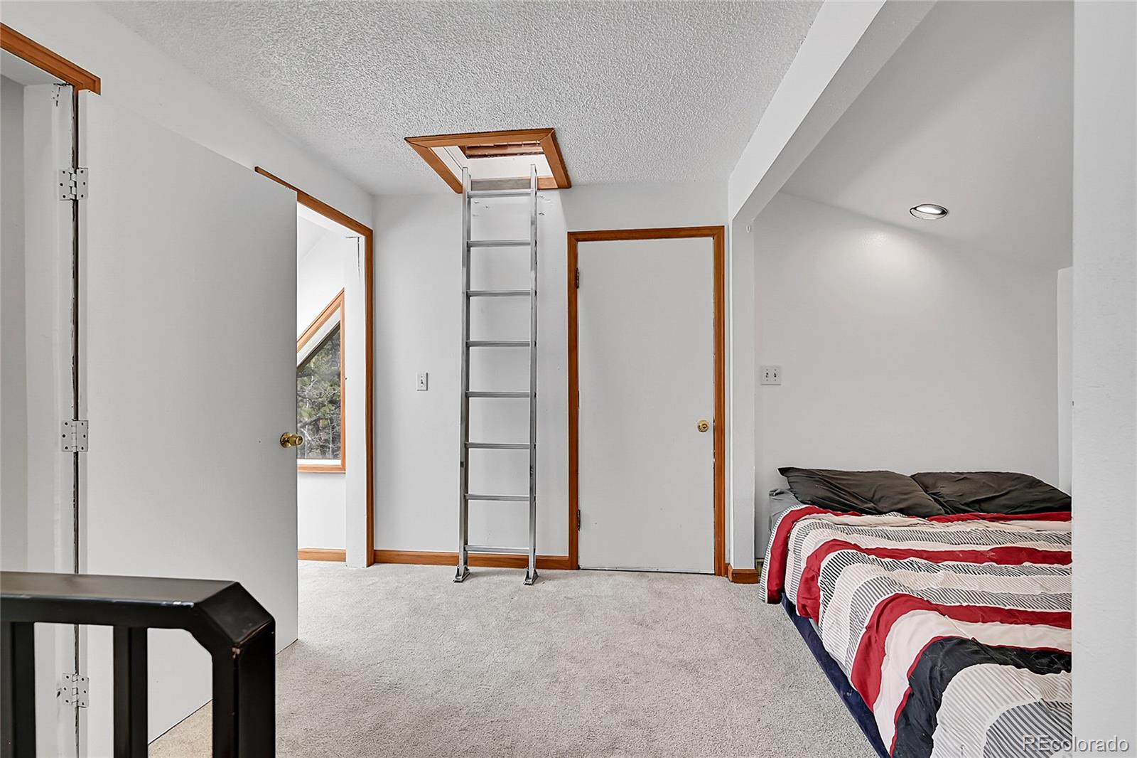 101 Campbell Road Bailey, CO 80421 - Photo 28 of 49 a bedroom with a bed and a window