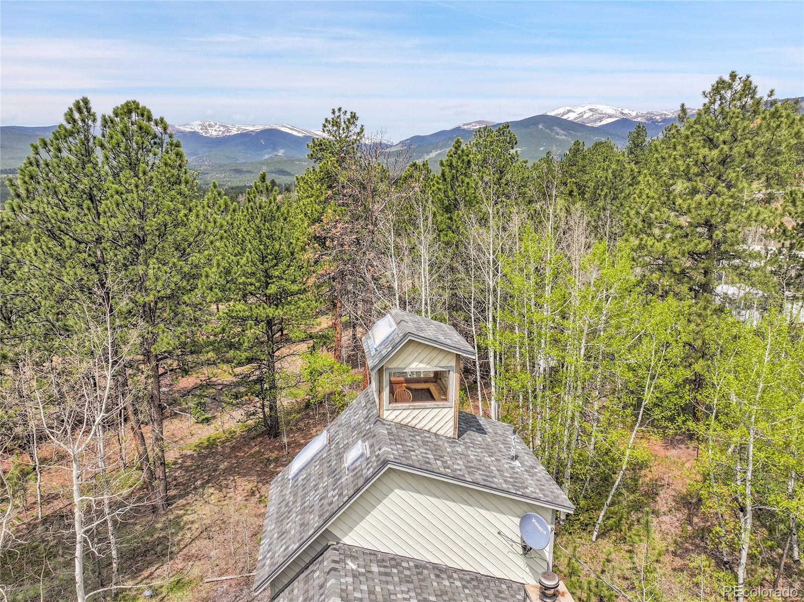 101 Campbell Road Bailey, CO 80421 - Photo 39 of 49 a view of a house with a yard