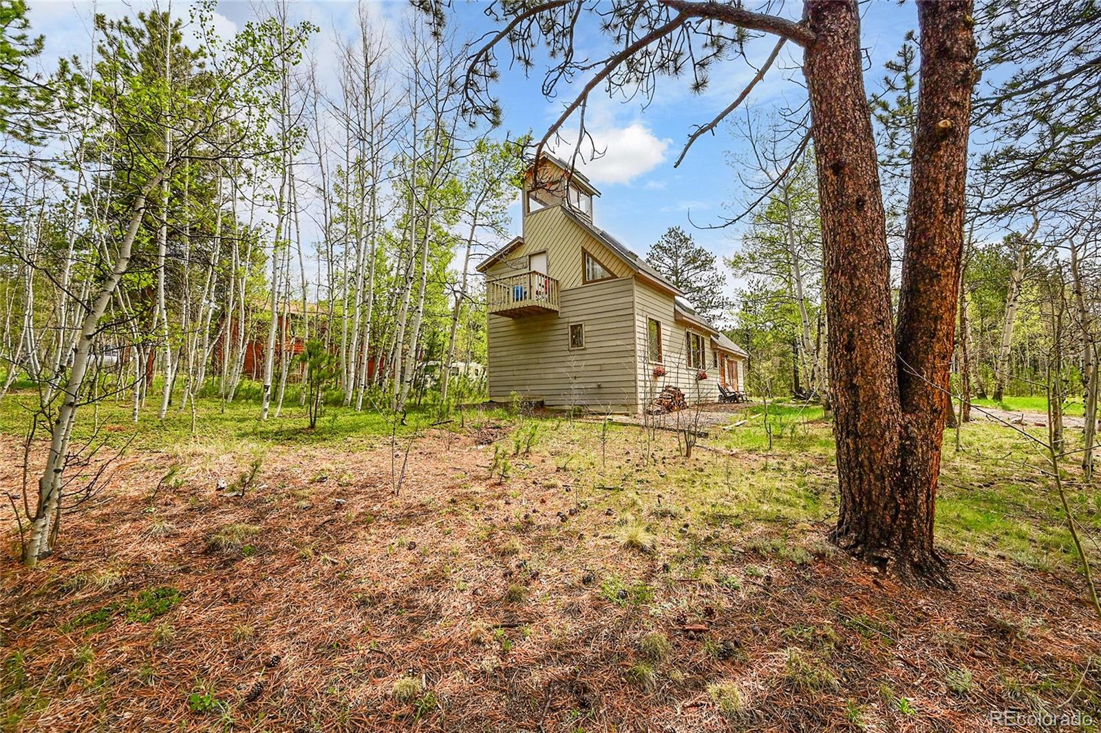 101 Campbell Road Bailey, CO 80421 - Photo 40 of 49 a house with a trees in front of it