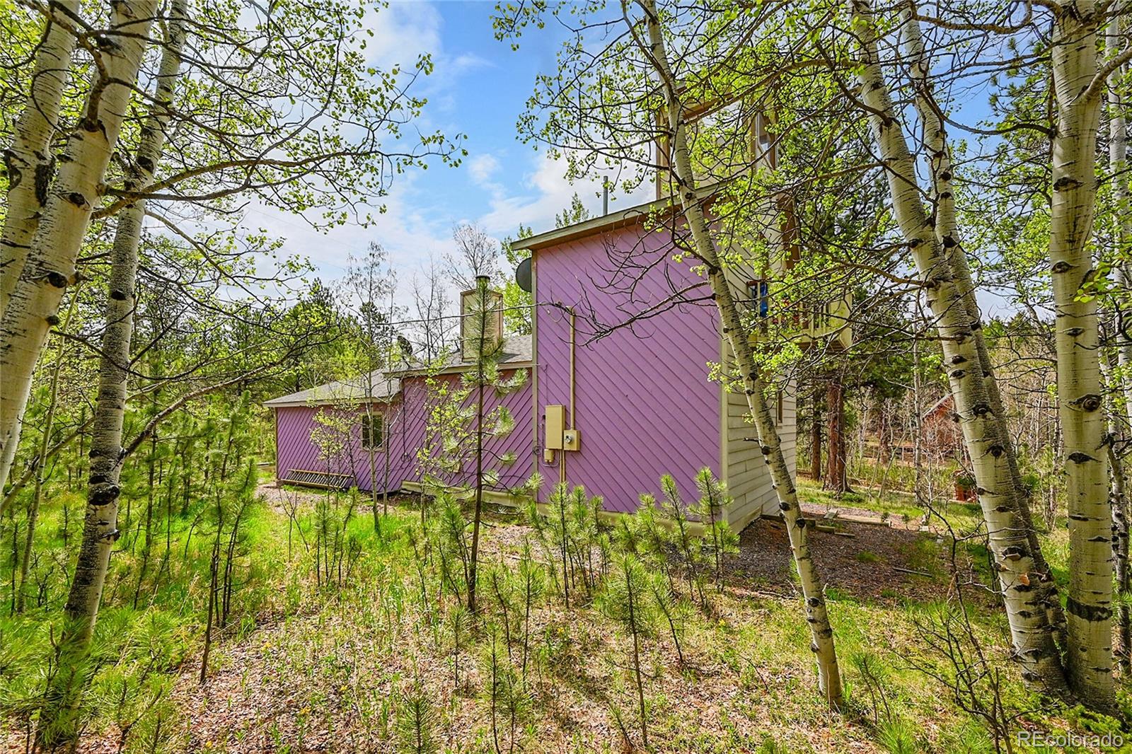 101 Campbell Road Bailey, CO 80421 - Photo 41 of 49 a book on the side of the road