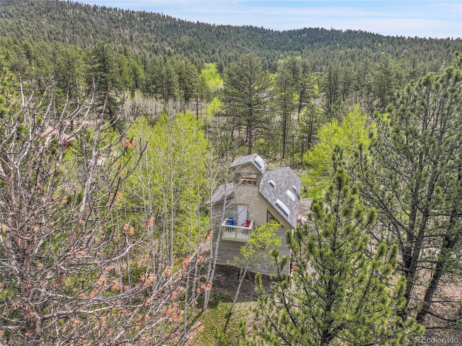 101 Campbell Road Bailey, CO 80421 - Photo 45 of 49 a aerial view of a house with a yard and lake view