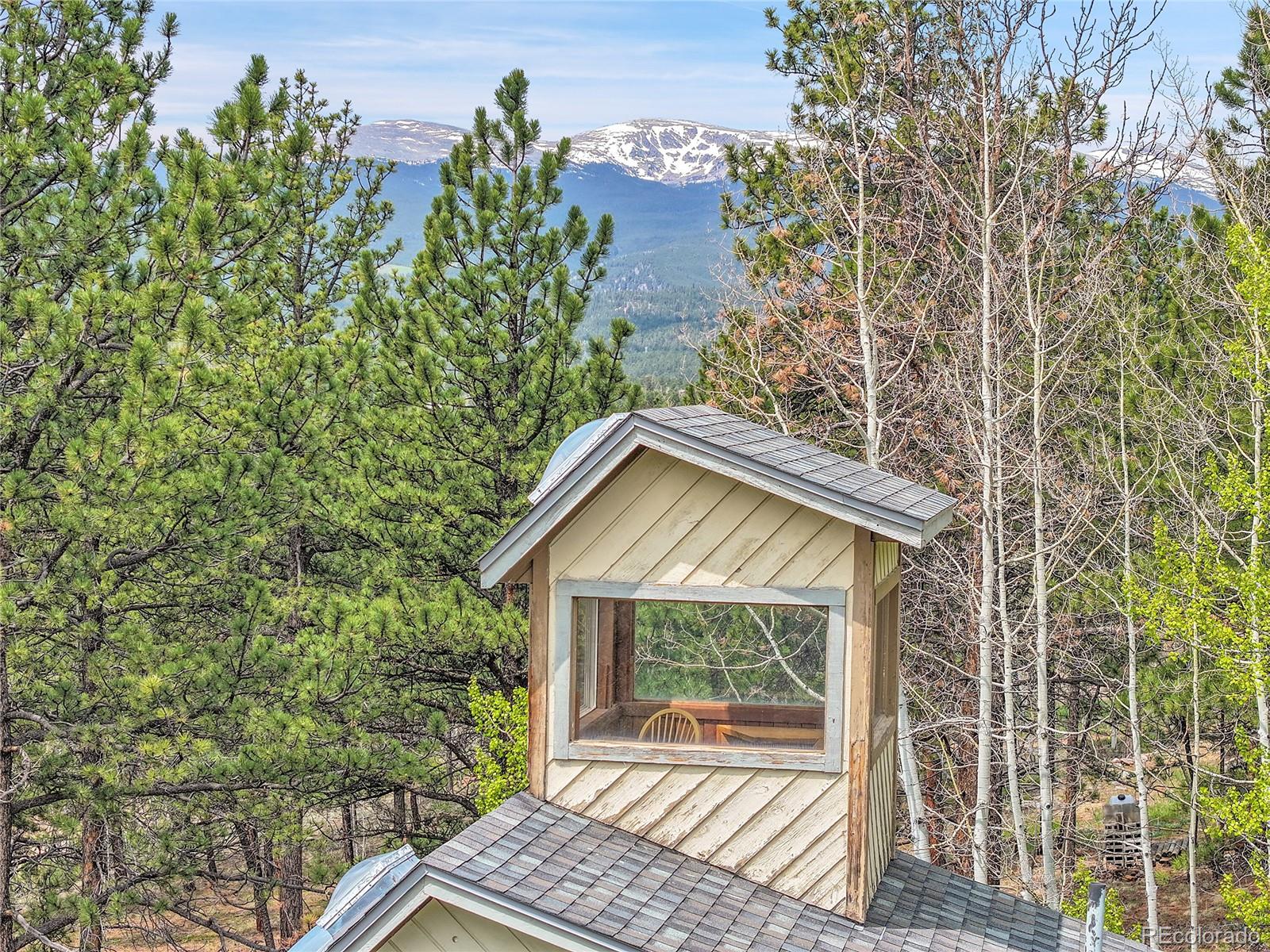 101 Campbell Road Bailey, CO 80421 - Photo 7 of 49 view of house with yard