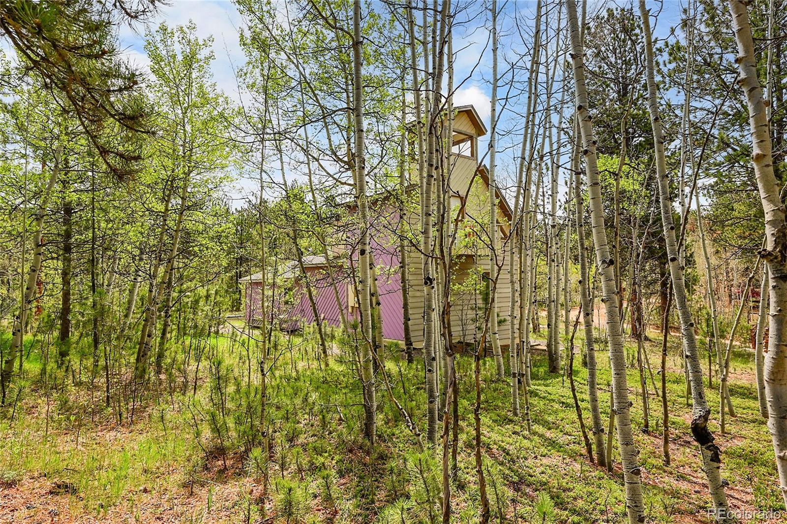 101 Campbell Road Bailey, CO 80421 - Photo 8 of 49