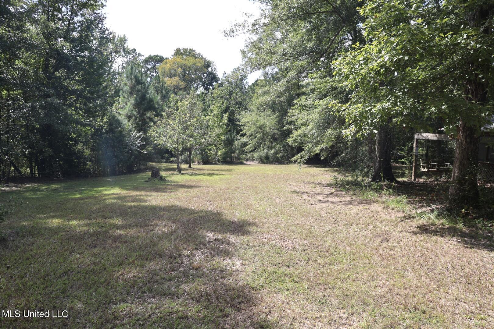 586 Southeast Hancock Road Meadville, MS 39653 - Photo 37 of 55 FR6A4418