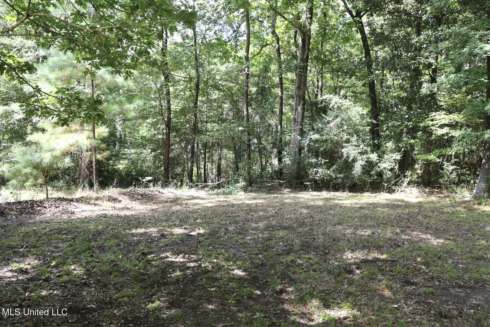 586 Southeast Hancock Road Meadville, MS 39653 - Photo 39 of 55 FR6A4429