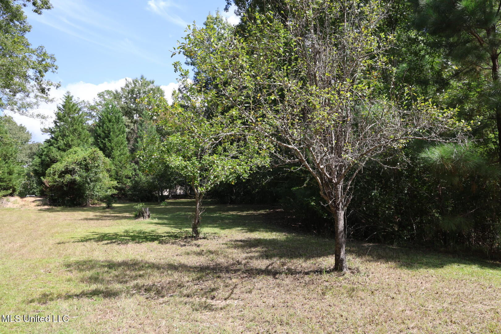 586 Southeast Hancock Road Meadville, MS 39653 - Photo 41 of 55 FR6A4431