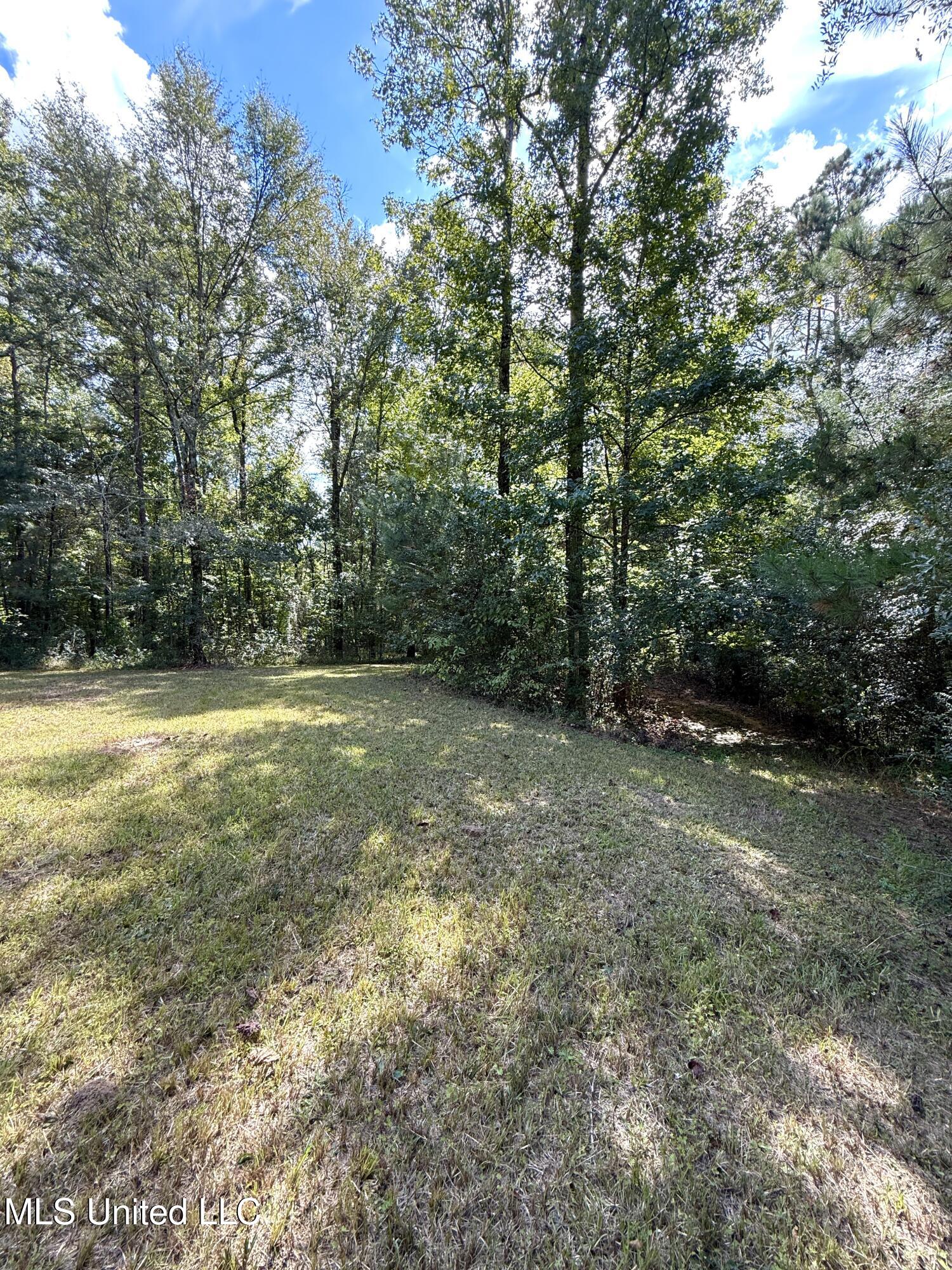 586 Southeast Hancock Road Meadville, MS 39653 - Photo 52 of 55 IMG_4472