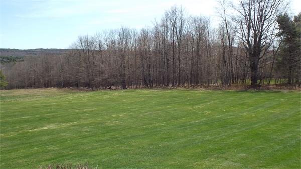 29 Potter Road Rowe, MA 01367 - Photo 29 of 30 a view of a yard