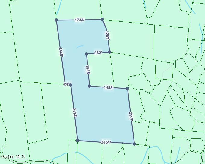 L1 County Route 18 Hampton, NY 12837 - Photo 3 of 3 Screen Shot 2026-01-25 at 11.11.39 PM