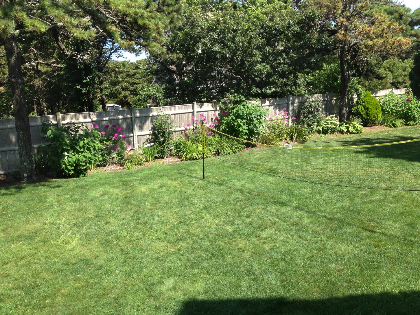 17 Thaxter Lane Edgartown, MA 02539 - Photo 23 of 23 a view of a backyard with large trees