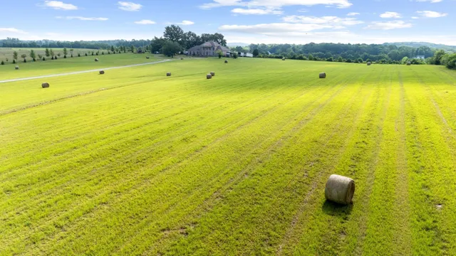 a view of an ocean and beach