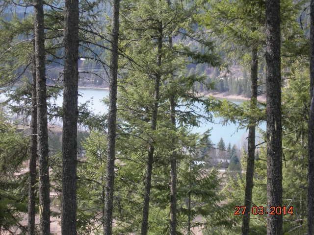 11662 LeClerc Road North Cusick, WA 99119 - Photo 2 of 4