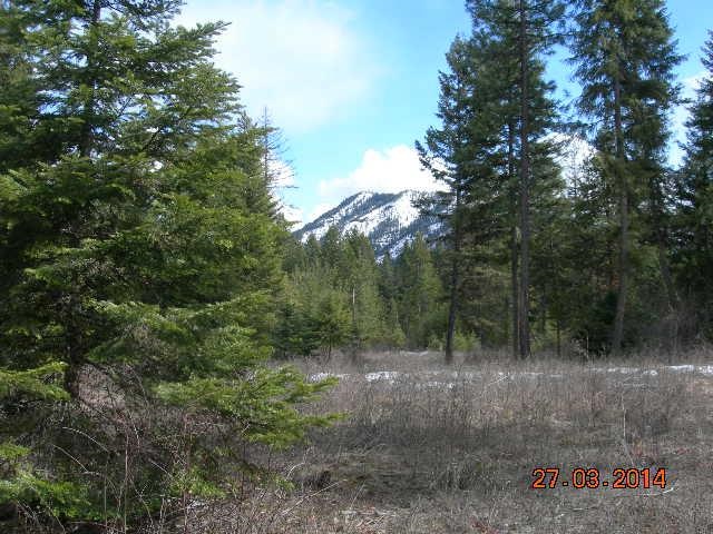 11662 LeClerc Road North Cusick, WA 99119 - Photo 3 of 4