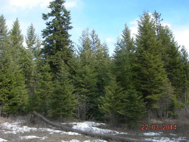 11662 LeClerc Road North Cusick, WA 99119 - Photo 4 of 4