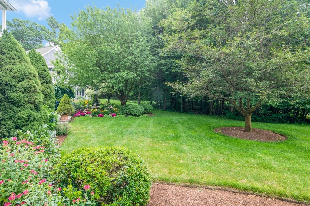 11 Forest Lane, Unit 11 Scituate, MA 02066 - Photo 34 of 39 a view of yard with green space