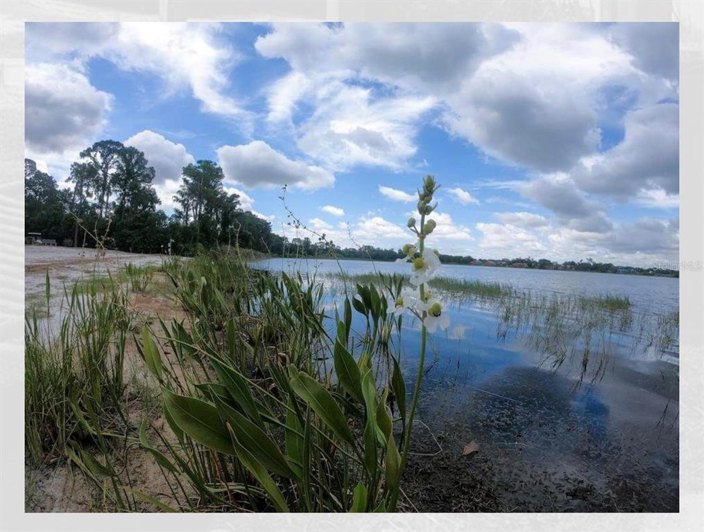 3623 Atrium Drive Orlando, FL 32822 - Photo 28 of 32