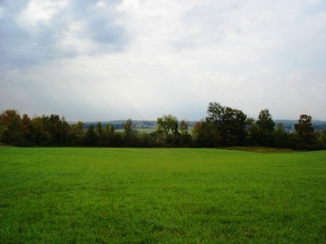 555 Darrow Road Sprakers, NY 12166 - Photo 9 of 12 Photo 9