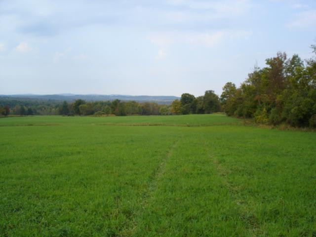555 Darrow Road Sprakers, NY 12166 - Photo 10 of 12 Photo 10