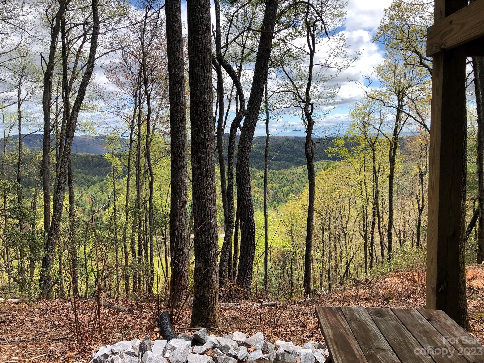 Tbd Deer Antler Road, Unit 84 Purlear, NC 28665 - Photo 16 of 36 a view of a outdoor space