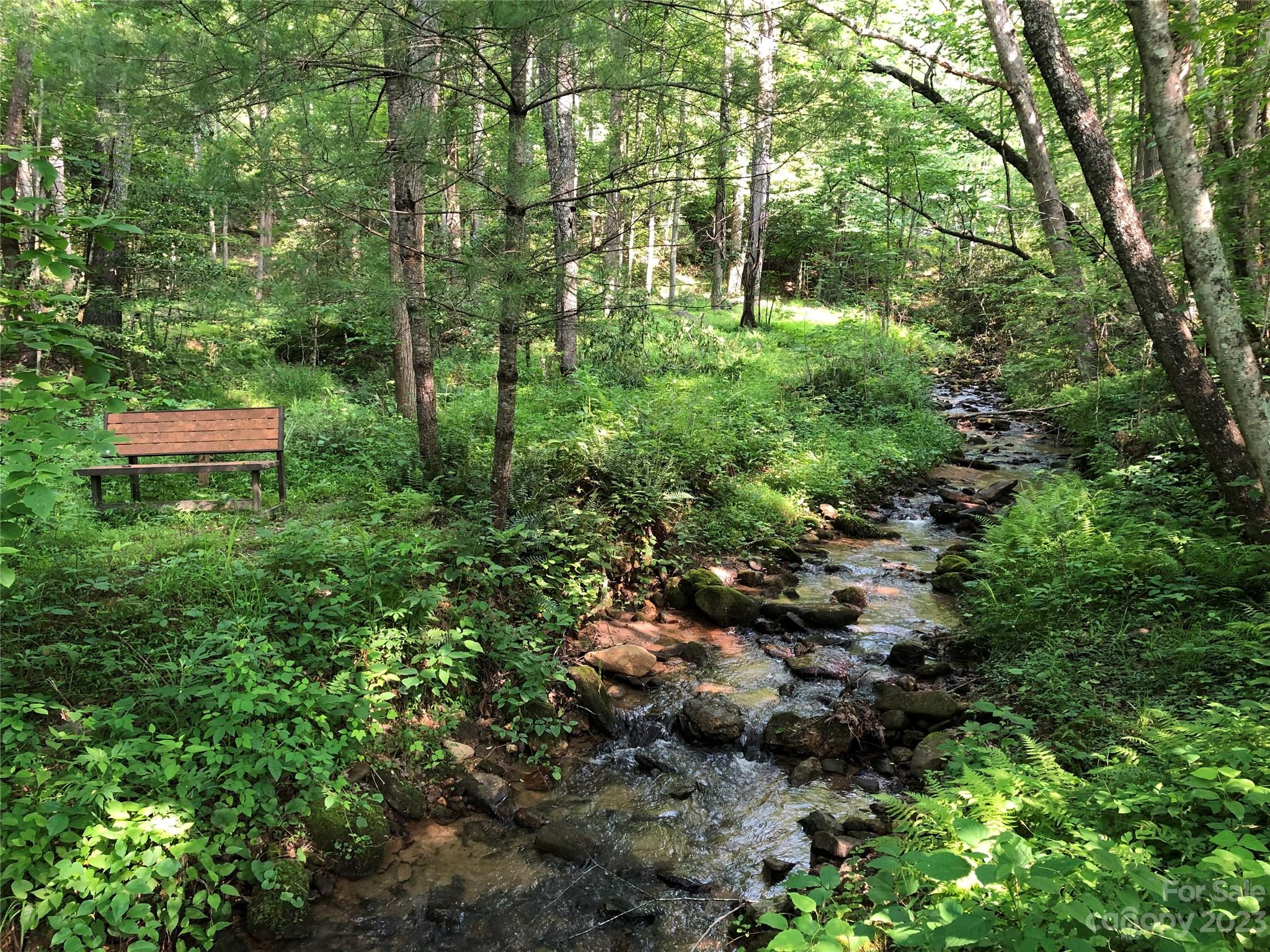 Tbd Deer Antler Road, Unit 84 Purlear, NC 28665 - Photo 22 of 36 a view of a lush green forest