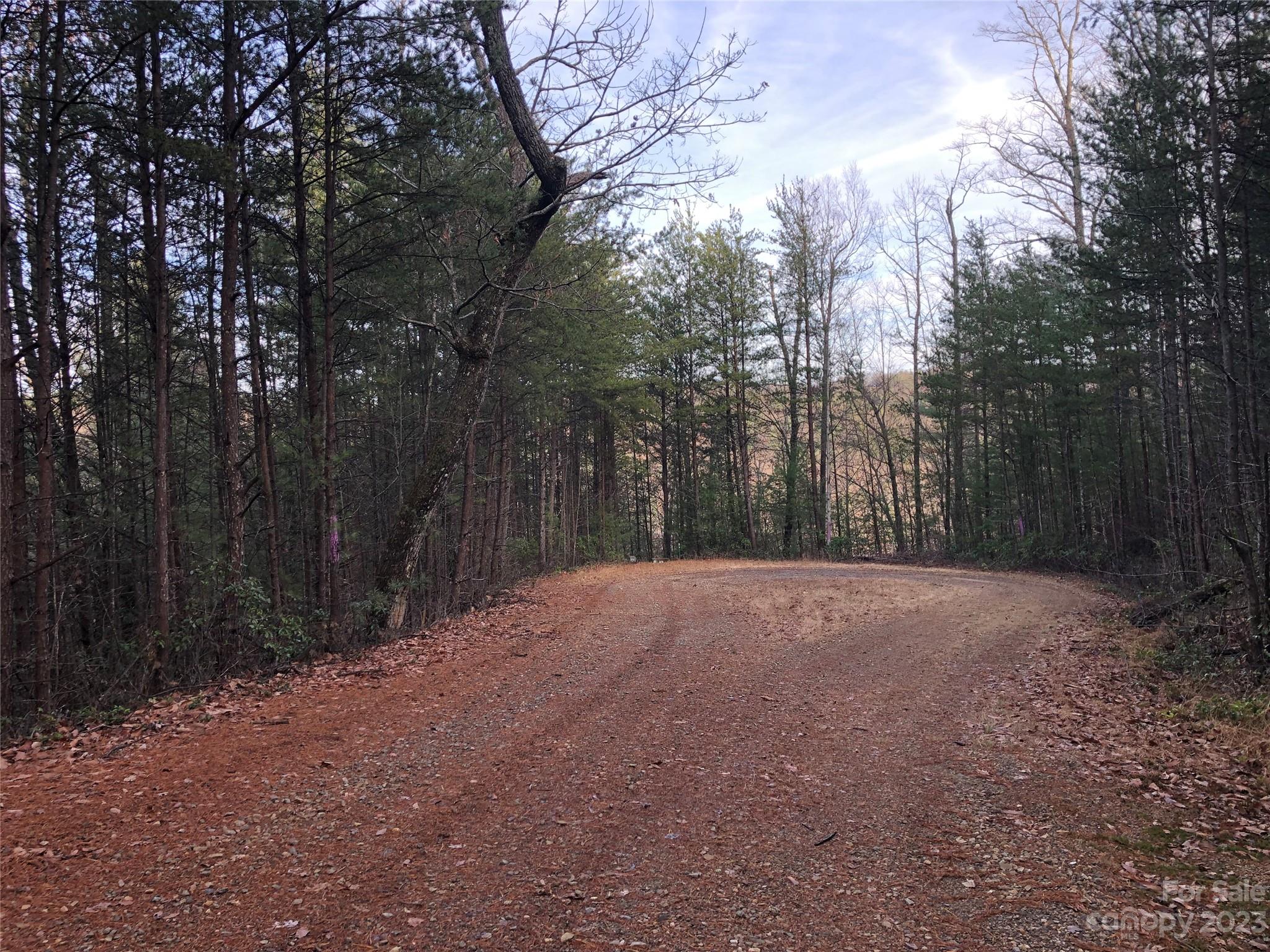 Tbd Deer Antler Road, Unit 84 Purlear, NC 28665 - Photo 6 of 36 a view of road with large trees