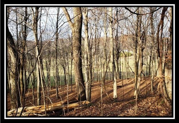 9333 Ridgeview Road Chandlersville, OH 43727 - Photo 28 of 45